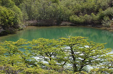 Caminata a la Laguna Verde