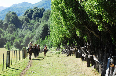 Cabalgata Diaria El Manso